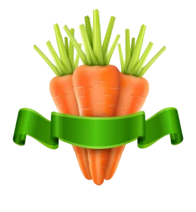 Fresh Orange Carrots with Lush Green Leaves Eco-Friendly Clipart Design