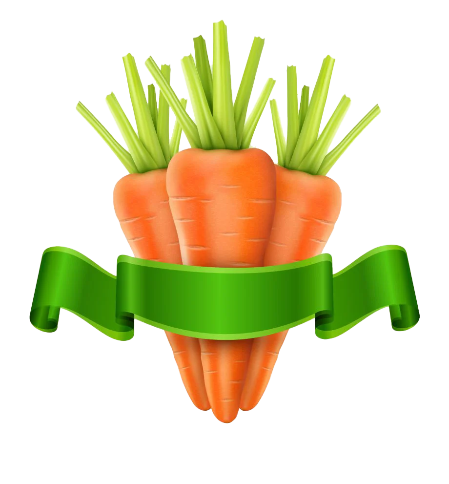 Fresh Orange Carrots with Lush Green Leaves Eco-Friendly Clipart Design