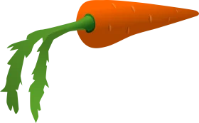 Fresh Organic Carrot Clipart with Lush Green Leaves Illustration Design