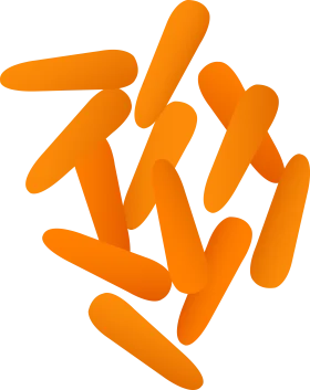 Fresh Organic Orange Baby Carrots Clipart Design for Culinary Graphics