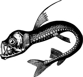 Vintage Deep Sea Angler Fish Black and White Marine Life Clipart Illustration