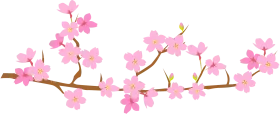 Delicate Pink Cherry Blossom Branch Clipart: Soft Springtime Elegance