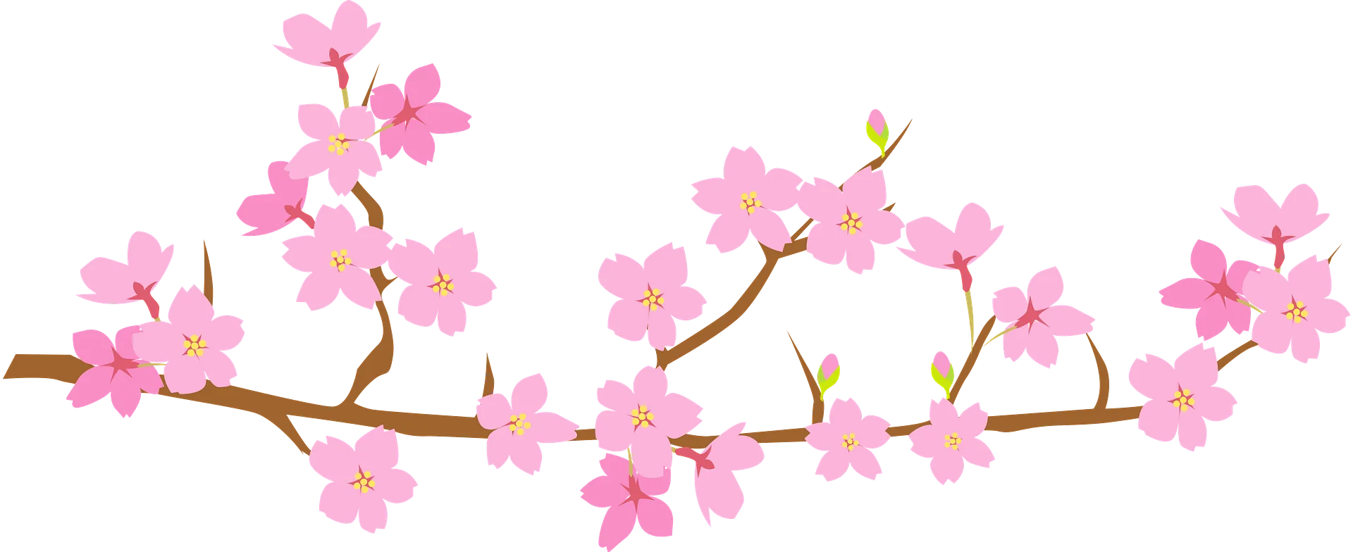 Delicate Pink Cherry Blossom Branch Clipart: Soft Springtime Elegance