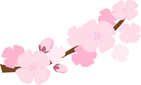 Delicate Pink Cherry Blossom Branch Clipart: Soft Springtime Floral Illustration