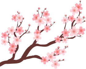 Delicate Pink Cherry Blossom Branch Clipart: Springtime Elegance in Soft Hues