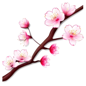 Delicate Pink Cherry Blossom Branch Watercolor Clipart Design