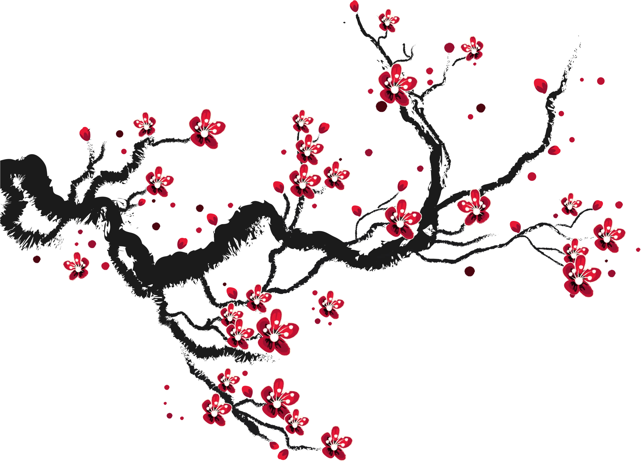 Elegant Black and Red Cherry Blossom Branch Clipart with Delicate Floral Design