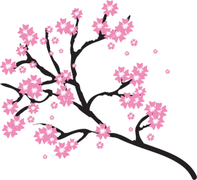 Elegant Pink Cherry Blossom Branch Clipart - Delicate Floral Spring Design