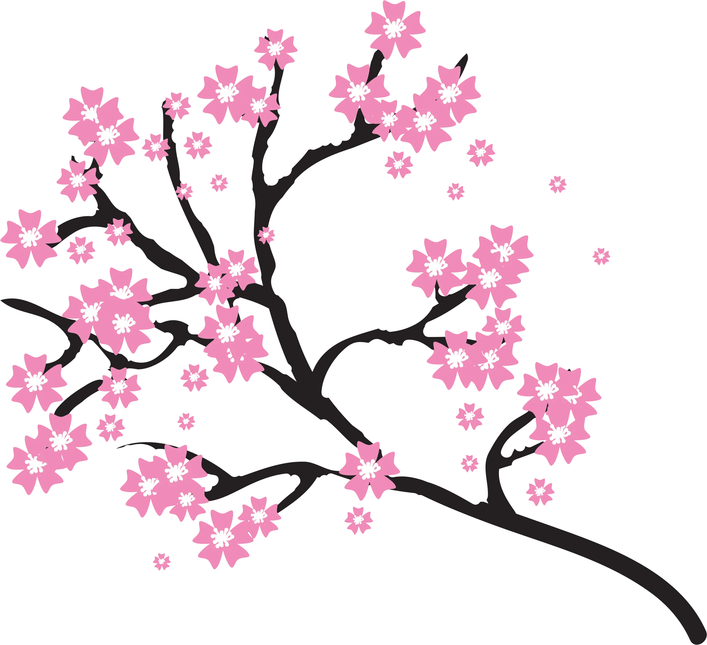 Elegant Pink Cherry Blossom Branch Clipart - Delicate Floral Spring Design