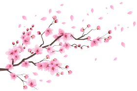 Delicate Pink Cherry Blossom Branch Watercolor Clipart with Soft Petal Cascade