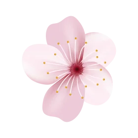 Delicate Pink Cherry Blossom Clipart: Soft Watercolor Floral Illustration