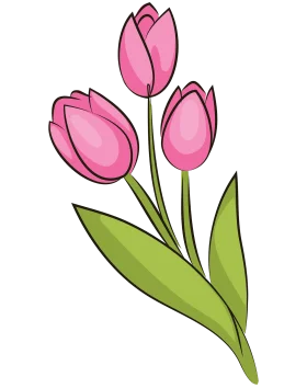 Charming Pink Tulips Clipart - Elegant Floral Illustration for Spring Design