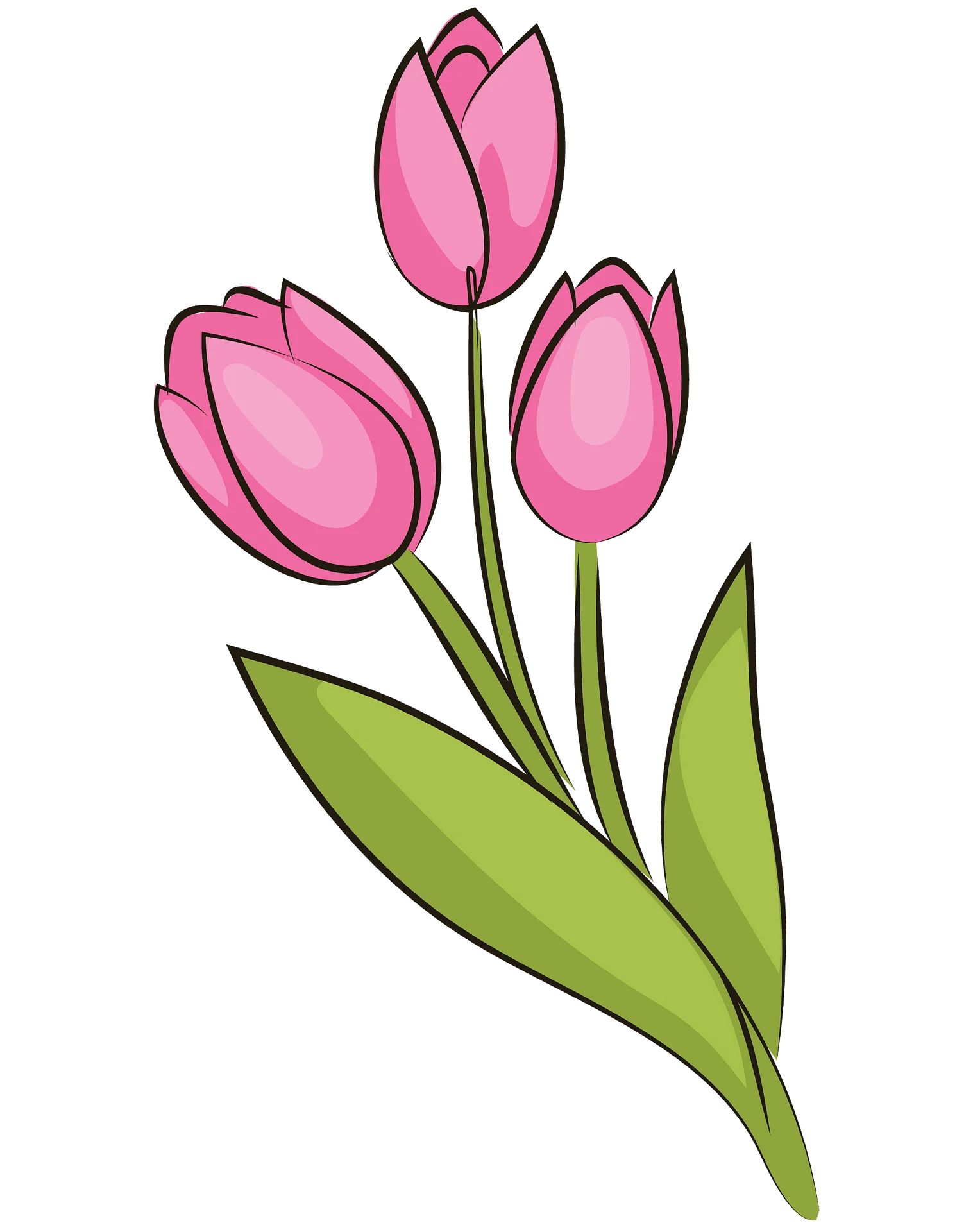Charming Pink Tulips Clipart - Elegant Floral Illustration for Spring Design