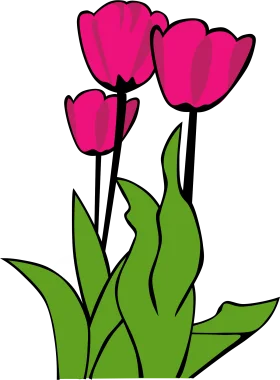 Cheerful Pink Tulips Clipart - A Springtime Floral Illustration with Bold Colors