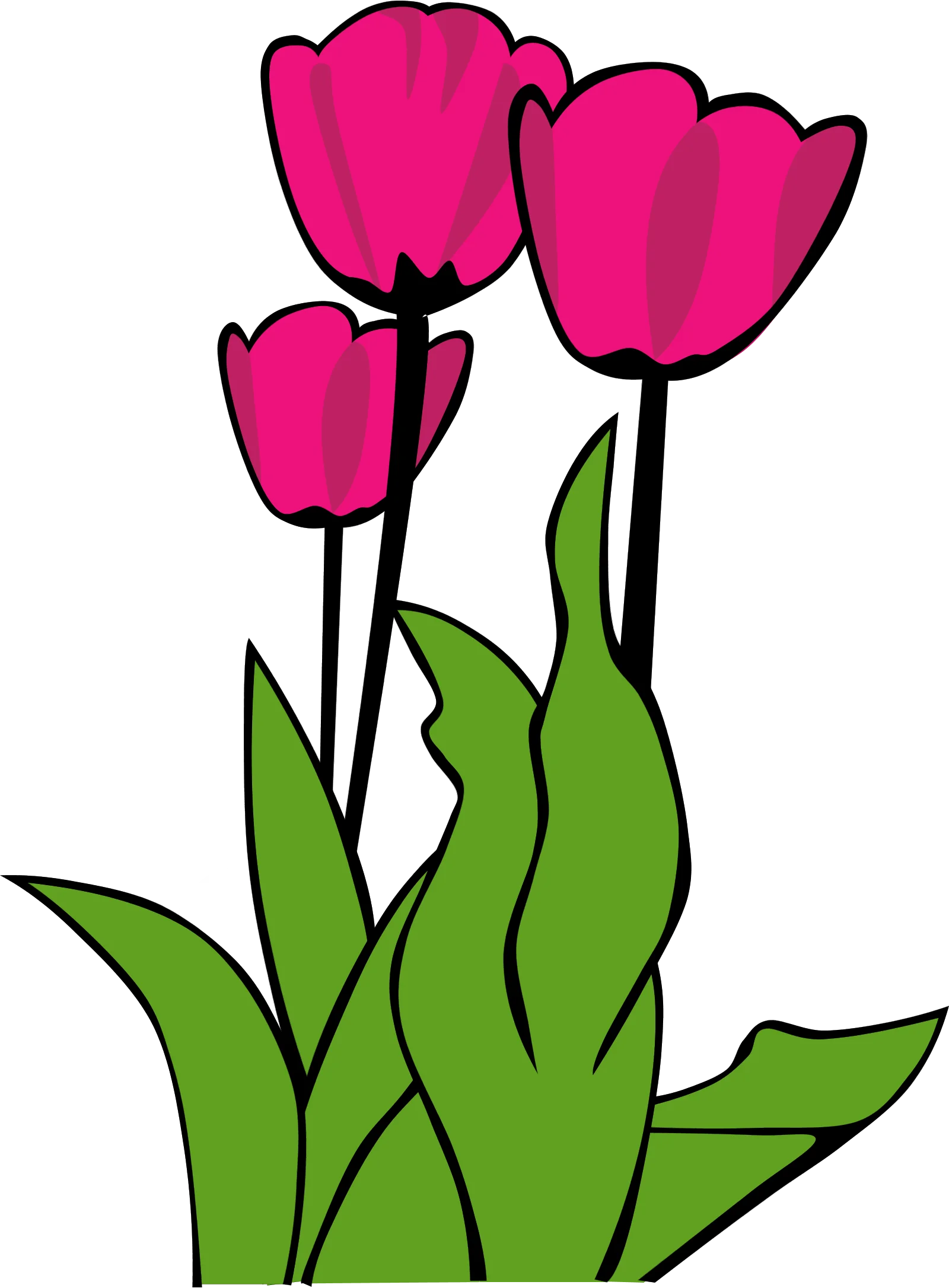 Cheerful Pink Tulips Clipart - A Springtime Floral Illustration with Bold Colors