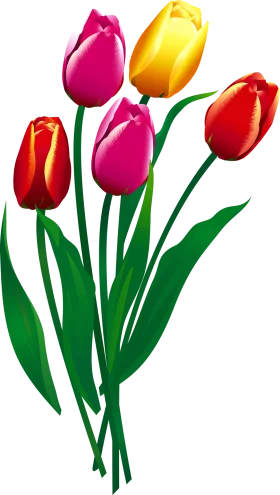 Cheerful Spring Tulips Clipart: A Delightful Bouquet of Colorful Blooming Flowers