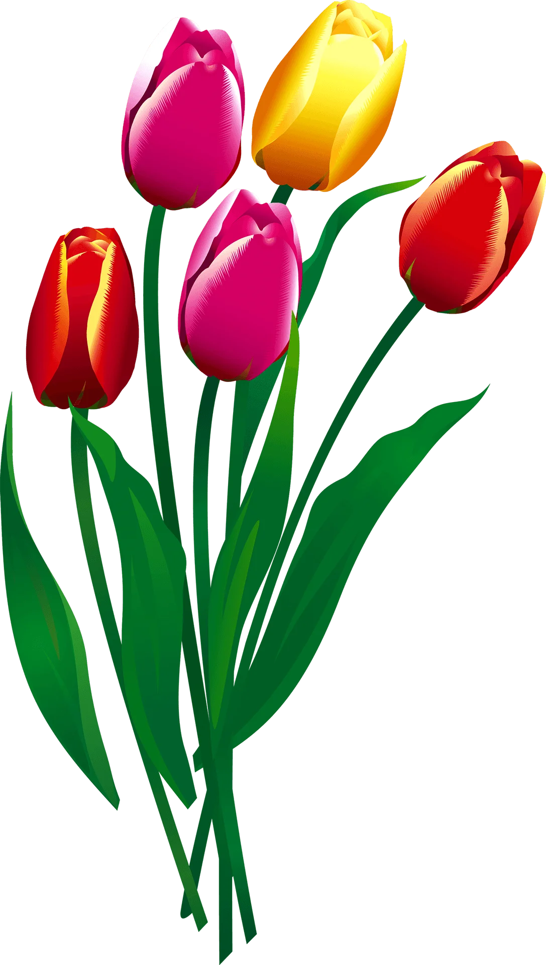 Cheerful Spring Tulips Clipart: A Delightful Bouquet of Colorful Blooming Flowers