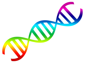 Colorful DNA Double Helix Scientific Clipart Illustration Representing Genetic Diversity