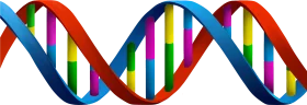 Colorful Double Helix DNA Molecular Structure Scientific Clipart Illustration