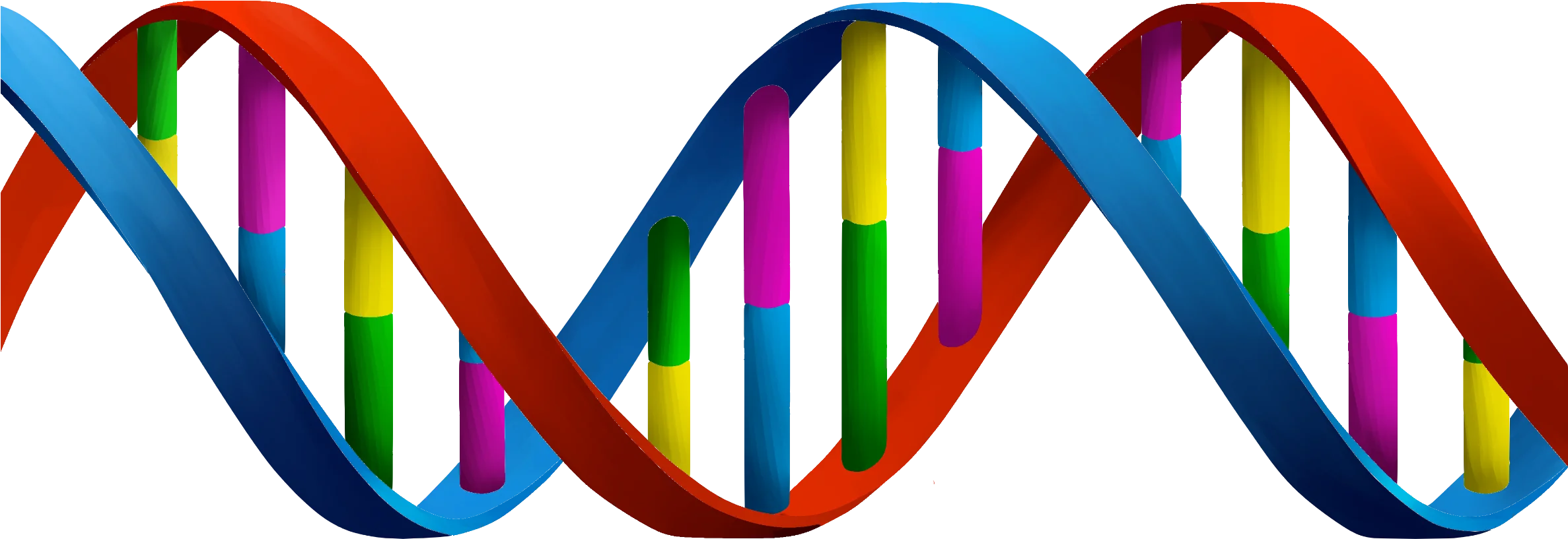 Colorful Double Helix DNA Molecular Structure Scientific Clipart Illustration