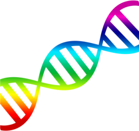 Colorful Double Helix DNA Strand Scientific Illustration Clipart Design