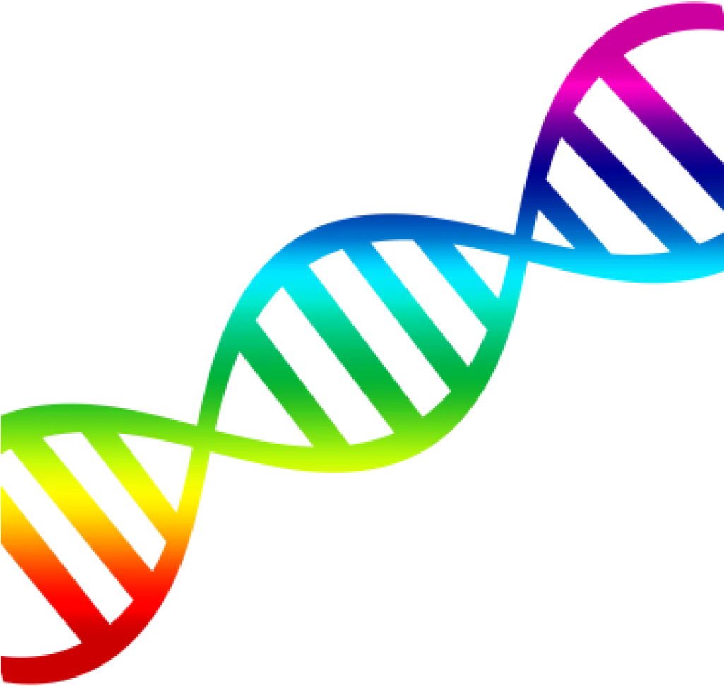 Colorful Double Helix DNA Strand Scientific Illustration Clipart Design