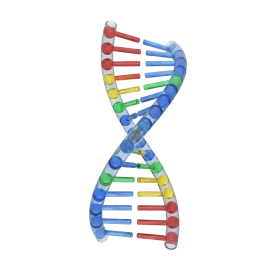 Colorful Double Helix DNA Structure Molecular Biology Clipart Illustration