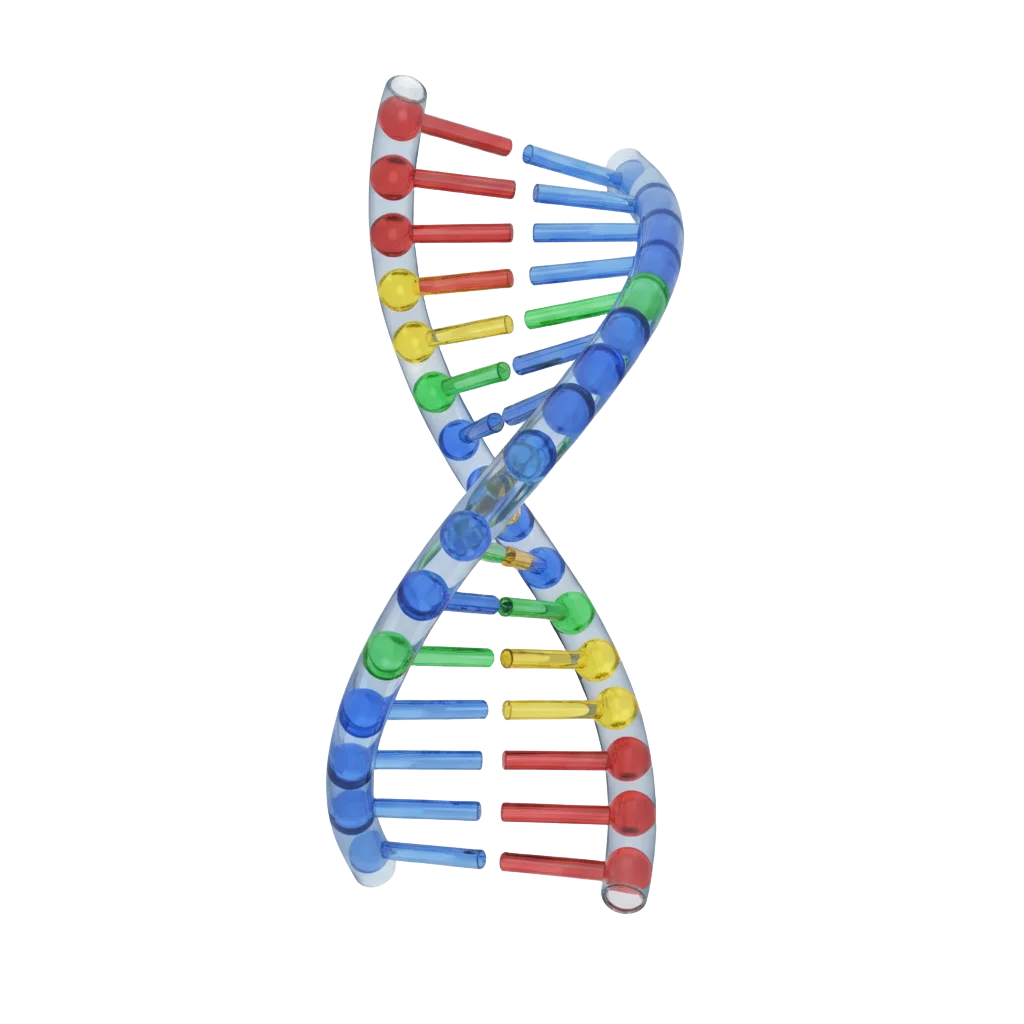 Colorful Double Helix DNA Structure Molecular Biology Clipart Illustration