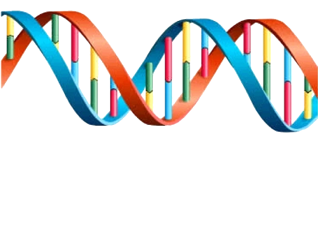 Colorful Intertwined DNA Double Helix Scientific Illustration Clipart Design