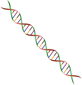 Double Helix DNA Clipart Illustration Showcasing Genetic Molecular Structure
