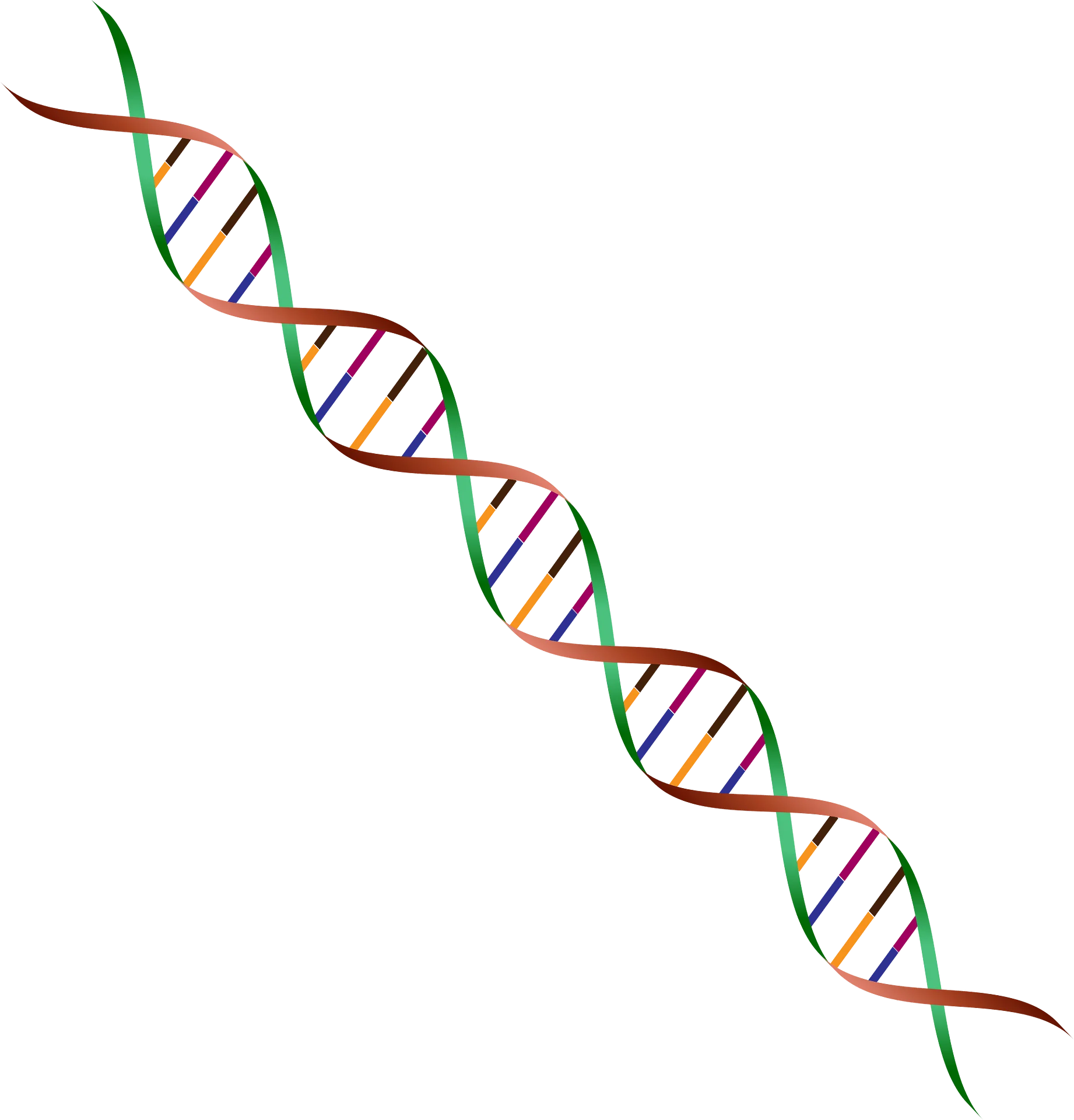 Double Helix DNA Clipart Illustration Showcasing Genetic Molecular Structure