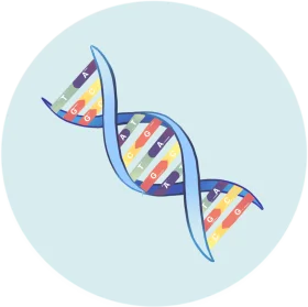 Double Helix DNA Strand Scientific Research Illustration Clipart Design