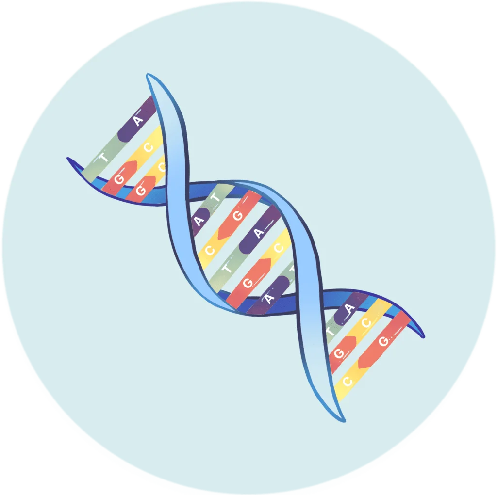 Double Helix DNA Strand Scientific Research Illustration Clipart Design