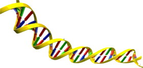 Dynamic Double Helix DNA Molecular Structure Scientific Clipart Illustration