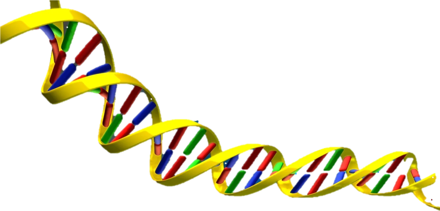 Dynamic Double Helix DNA Molecular Structure Scientific Clipart Illustration