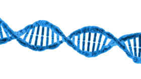 Elegant Blue Double Helix DNA Strand Scientific Clipart Illustration