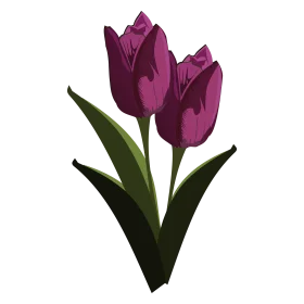 Elegant Deep Purple Tulip Trio Botanical Clipart Illustration Design