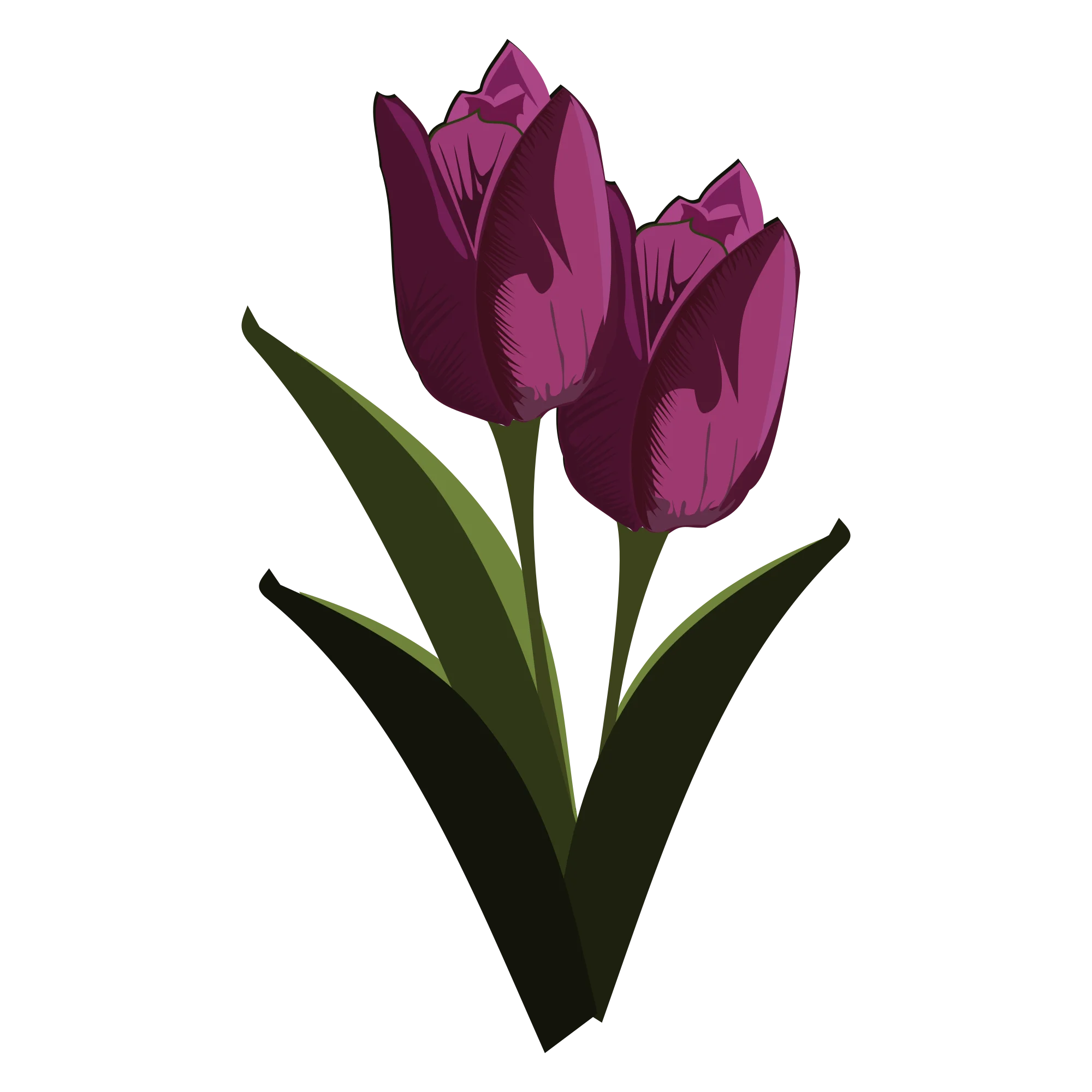 Elegant Deep Purple Tulip Trio Botanical Clipart Illustration Design