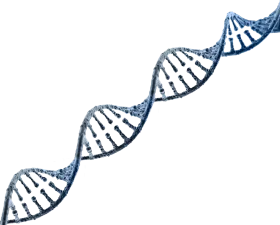 Elegant Double Helix DNA Molecular Structure Scientific Clipart Illustration