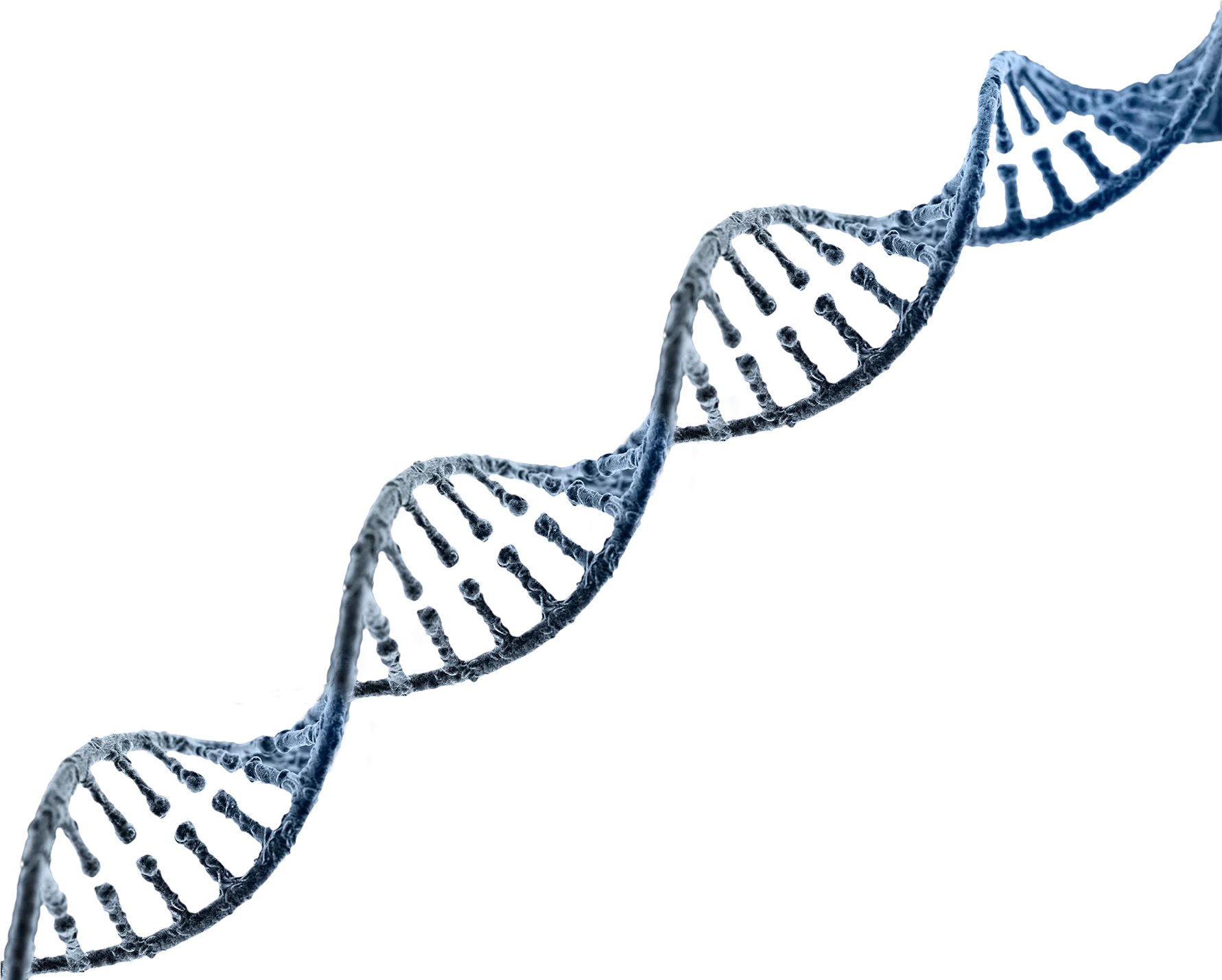 Elegant Double Helix DNA Molecular Structure Scientific Clipart Illustration