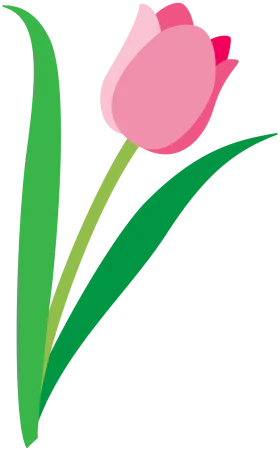 Elegant Pink Tulip Blossom on Verdant Stem - Springtime Botanical Clipart Design