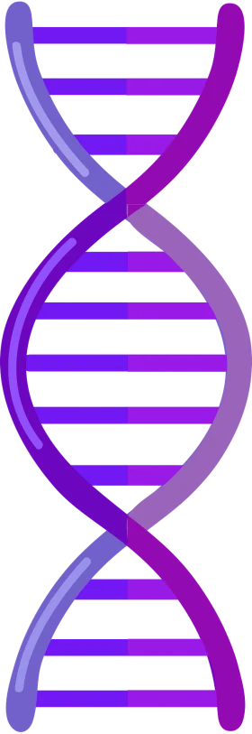 Elegant Purple Double Helix DNA Molecular Structure Clipart Design