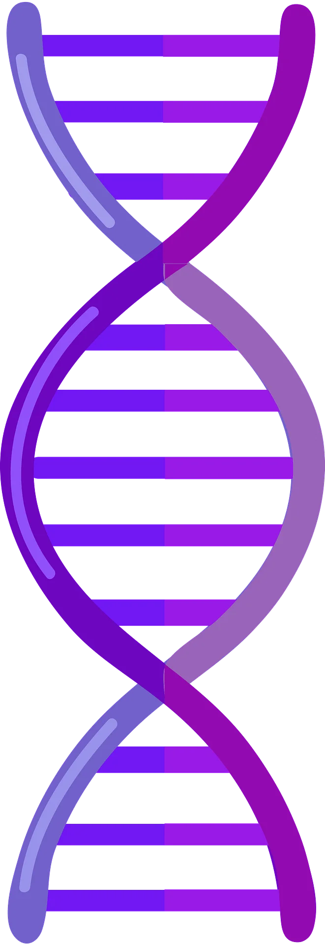 Elegant Purple Double Helix DNA Molecular Structure Clipart Design