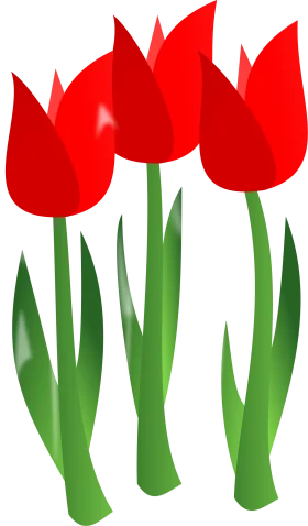 Elegant Red Tulips Clipart: A Stylized Floral Illustration of Spring Blooms