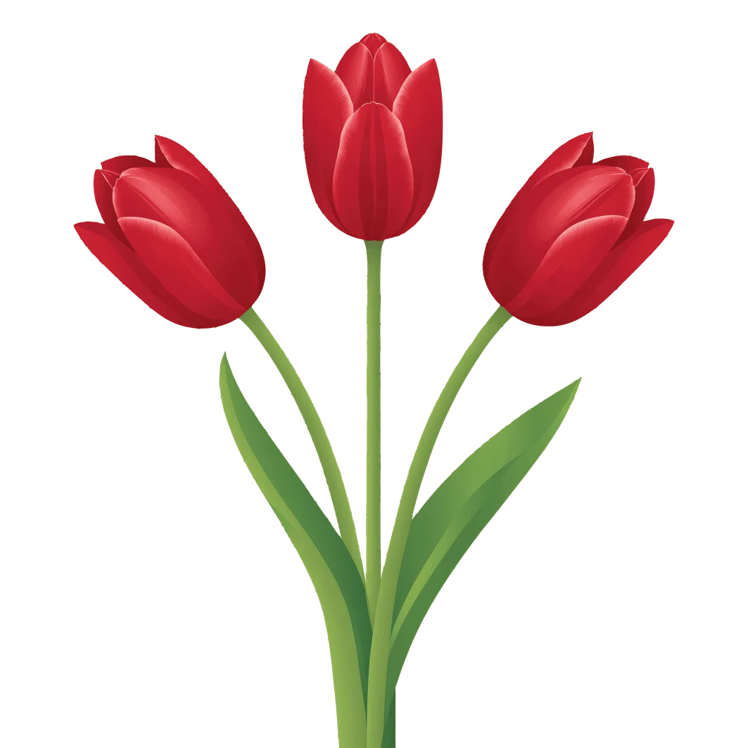 Elegant Red Tulips Clipart: A Trio of Blooming Spring Flowers in Perfect Symmetry