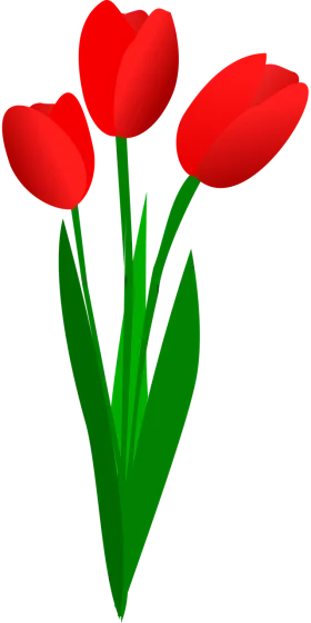 Elegant Red Tulips Clipart - Botanical Spring Garden Illustration Design