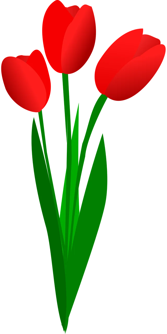 Elegant Red Tulips Clipart - Botanical Spring Garden Illustration Design