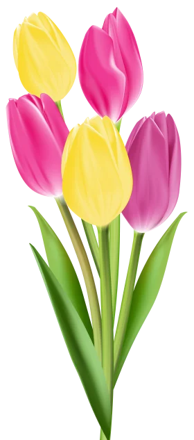 Elegant Spring Tulips Clipart Arrangement with Yellow and Pink Blooms