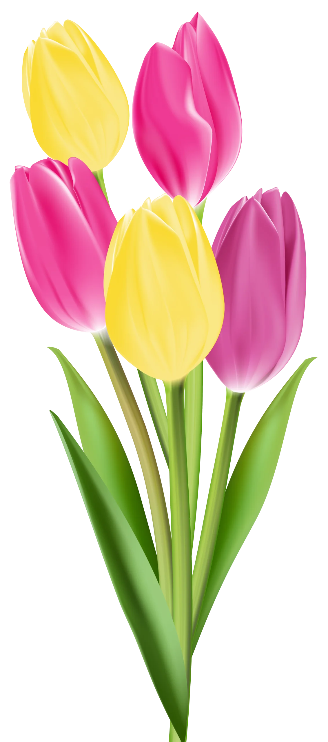 Elegant Spring Tulips Clipart Arrangement with Yellow and Pink Blooms