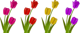 Elegant Spring Tulips Clipart: Blossoming Colors of Nature's Symphony